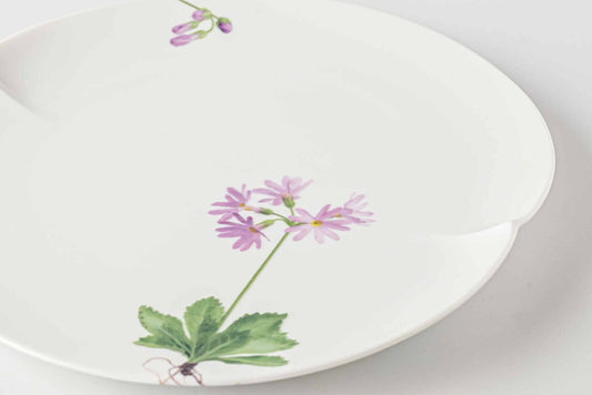 A delicate white porcelain plate with a beautiful, hand-painted daisy design in soft pink and green.
