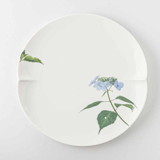 A white, 8-inch porcelain plate with a delicate blue daisy design, set against a plain white background.