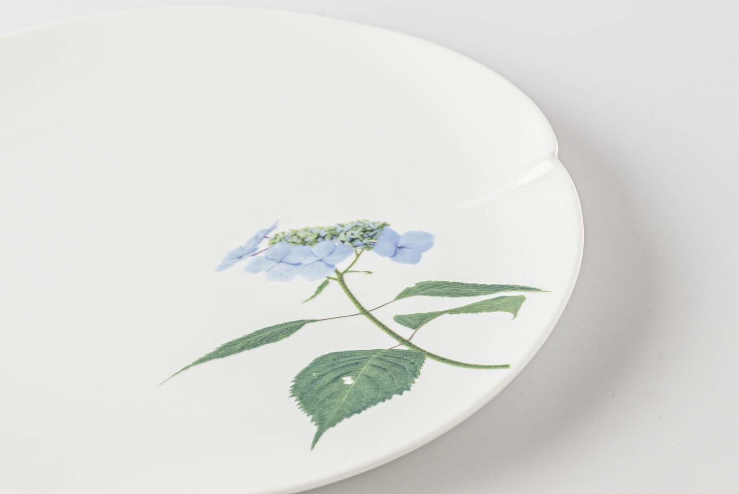 A delicate, white, porcelain plate with a beautiful, hand-painted daisy design.