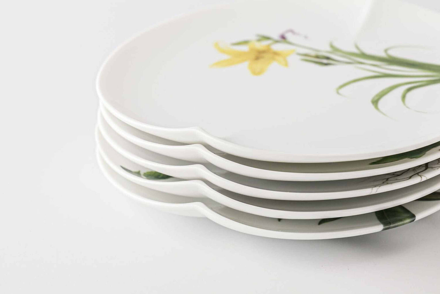 Mt. Tanigawa Mino Ware Botanical Porcelain Plate Collection - Small 6 in Hosoba daisy