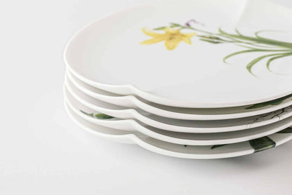 Mt. Tanigawa Mino Ware Botanical Porcelain Plate Collection - Small 6 in Hosoba daisy
