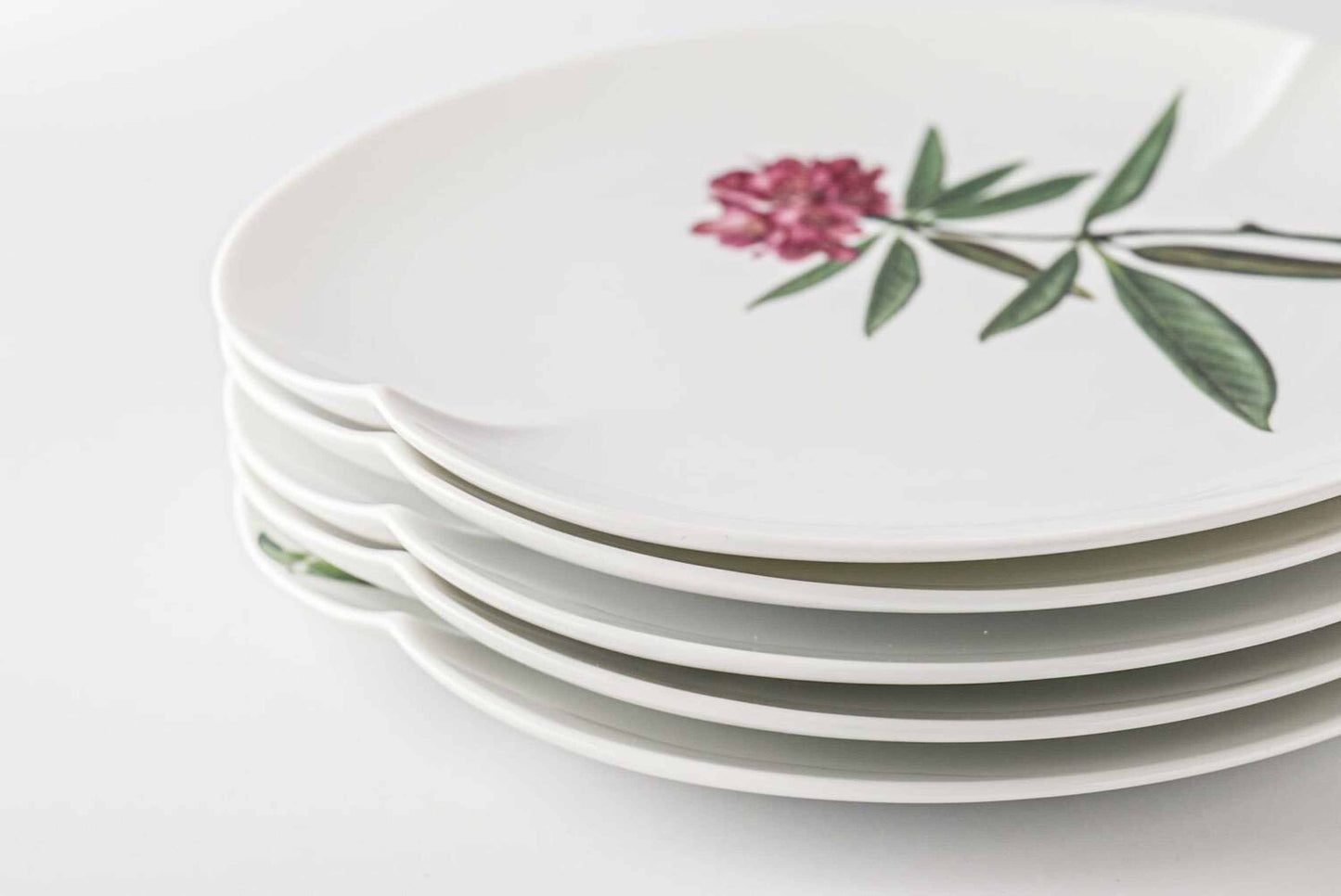 Mt. Tanigawa Mino Ware Botanical Porcelain Plate Collection - Medium 8 in Set of 5
